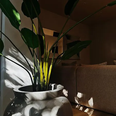 Brand New Apartment, Next To Park&beach Apartmán